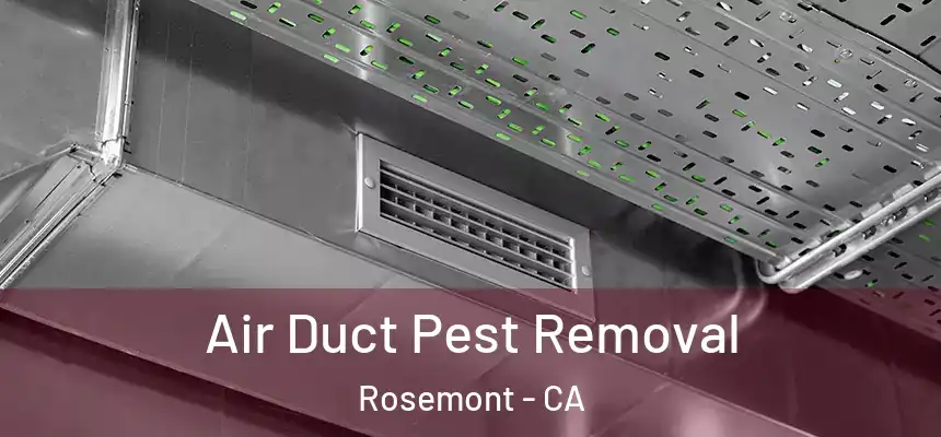 Air Duct Pest Removal Rosemont - CA