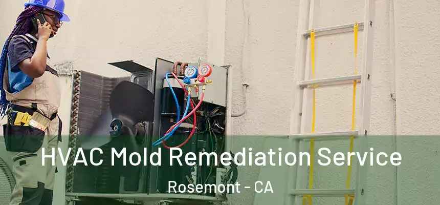 HVAC Mold Remediation Service Rosemont - CA