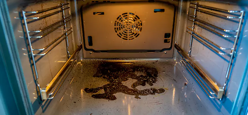 Our Air Purifier Installation Services in Rosemont, CA