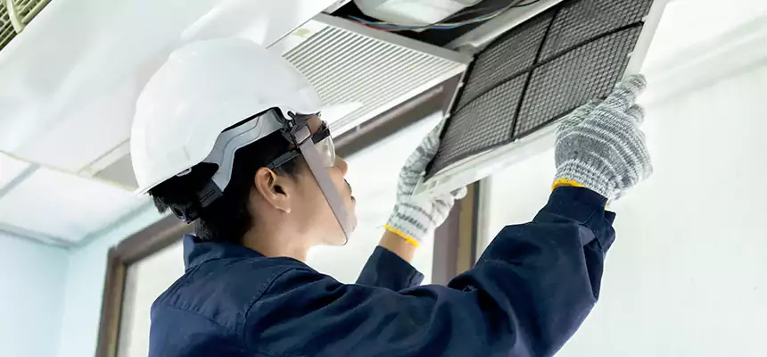 Our Mold & Mildew Removal from Air Ducts Services in Rosemont, CA