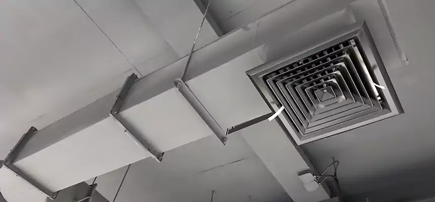 Our Pest Removal From Ducts Services in Rosemont, CA