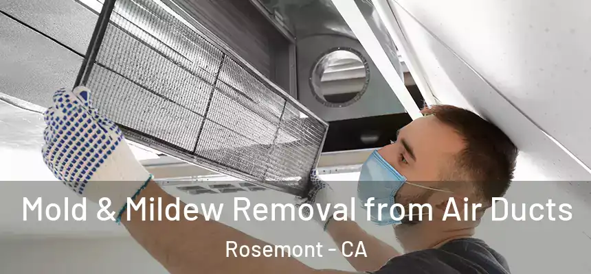 Mold & Mildew Removal from Air Ducts Rosemont - CA