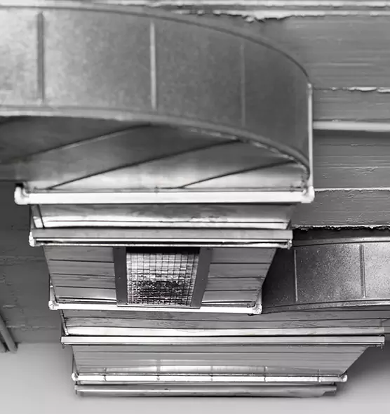 Professional Air Duct Pet Hair Removal in Rosemont, CA