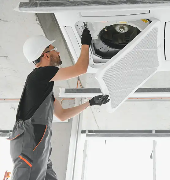 About Air Duct Rodent Removal in Rosemont, CA