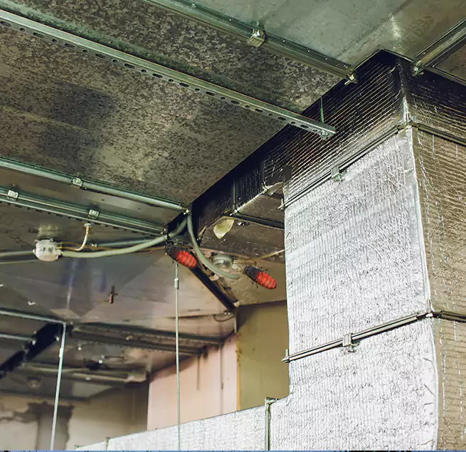 Why Homeowners & Businesses Trust Us in Rosemont, CA?