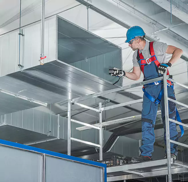 Why Homeowners & Businesses Trust Us in Rosemont, CA?