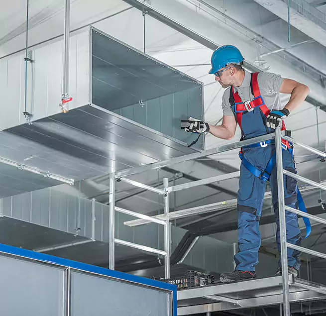 Why Homeowners Businesses Trust Us in Rosemont, CA