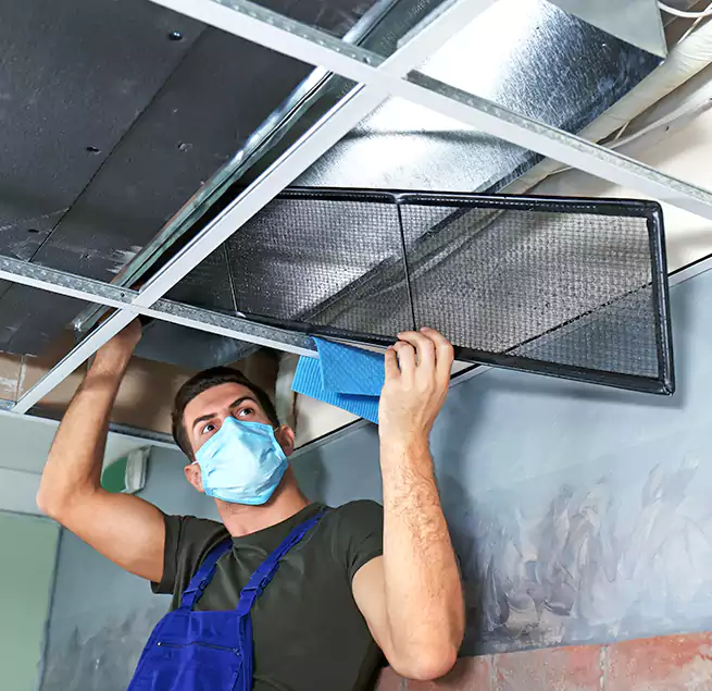 Why Homeowners Businesses Trust Us in Rosemont, CA